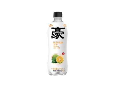 岫玉山卡曼橘味苏打气泡水480ml